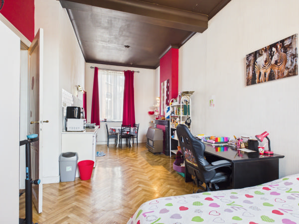 VIAGER OCCUPE - LIEGE - charmante maison de Maitre — photo 11