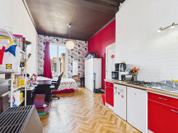 VIAGER OCCUPE - LIEGE - charmante maison de Maitre — photo 12
