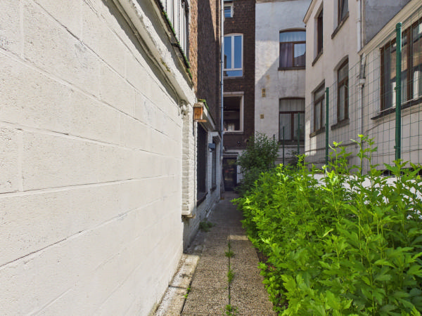VIAGER OCCUPE - LIEGE - charmante maison de Maitre — photo 25