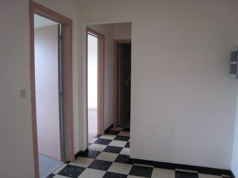 Quai de Rome: Appartement 1 chambre, grand séjour, cuisine équipée, salle de bains — photo 2