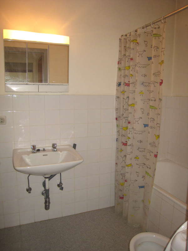 Quai de Rome: Appartement 1 chambre, grand séjour, cuisine équipée, salle de bains — photo 4