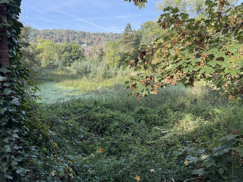 ESNEUX terrain à batir de 988m² — photo 3
